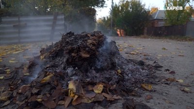У Краматорську молодь пропонує компостувати опале листя замість спалювання
