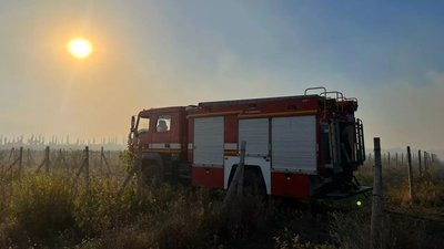 На Миколаївщині горять п'ять гектарів хвойного настилу На Миколаївщині горять п'ять гектарів хвойного настилу