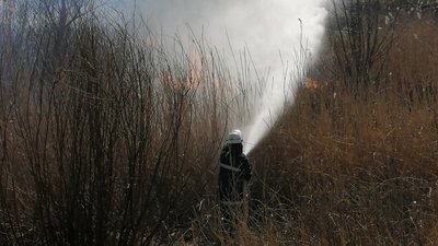 За три місяці на Миколаївщині сталося понад дві тисячі пожеж на природі