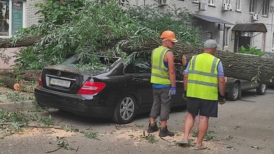 На проспекті Гагаріна у Харкові дерево впало на автомобіль і перекрило дорогу На проспекті Гагаріна у Харкові дерево впало на автомобіль і перекрило дорогу