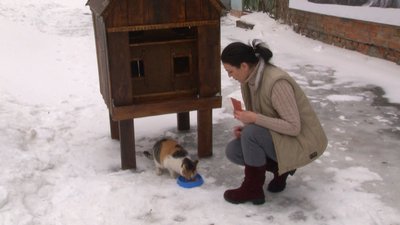 Черкаські школярі збудували хатку для вуличних котів. СУСПІЛЬНЕ | ВІДЕОНОВИНИ