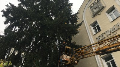 У Житомирі почали прикрашати головну новорічну ялинку У Житомирі почали прикрашати головну новорічну ялинку