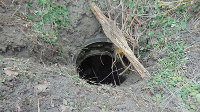 На Черкащині чоловік пошкодив майже кілометр кабелю На Черкащині чоловік пошкодив майже кілометр кабелю