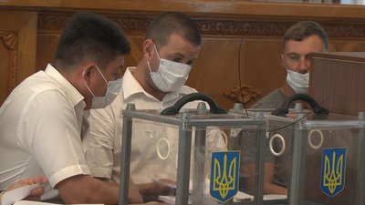 Миколаївські депутати не проголосували за програму поводження з безпритульними тваринами