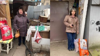 "Котики на е*учей войне". Як в Одесі допомагають притулкам з тваринами "Котики на е*учей войне". Як в Одесі допомагають притулкам з тваринами