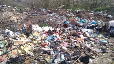 На Житомирщині у лісі утворилося сміттєзвалище протяжністю майже 800 метрів На Житомирщині у лісі утворилося сміттєзвалище протяжністю майже 800 метрів