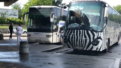 На полтавському автовокзалі побільшало пасажирів з-за кордону