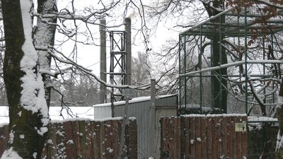 Як готуються до похолодання у Рівненському зоопарку Як готуються до похолодання у Рівненському зоопарку