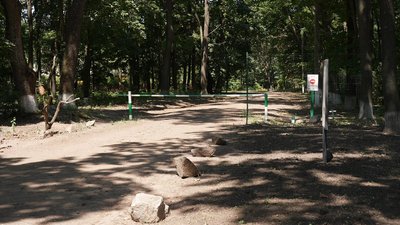 У лісах Кіровоградщини побільшало безплатних місць відпочинку. Хто і як їх створює У лісах Кіровоградщини побільшало безплатних місць відпочинку. Хто і як їх створює