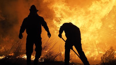 13 пожеж за добу: на Закарпатті збільшилась кількість випадків загоряння сухої трави