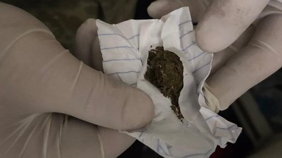Нелегальних мігрантів та наркотики виявили херсонські прикордонники у порту Миколаєва Нелегальних мігрантів та наркотики виявили херсонські прикордонники у порту Миколаєва