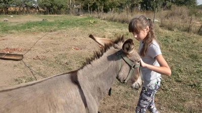 Сім'я Гриців щодня приділяє чимало часу тваринам на господарстві