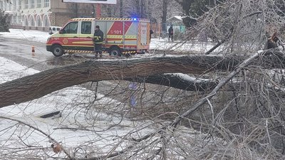 Обледенілі дерева, ожеледь та дощ: у Херсоні негода