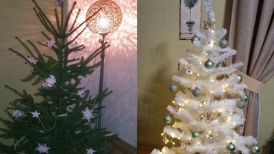 ялинка, ялинки, жива ялинка, штучна ялинка, новорічне дерево