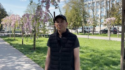 Цвіт сакури: як доглядають за японською вишнею у місті на Рівненщині