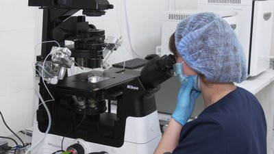 Відділення ЕКЗ у Рівненському міському пологовому, 19 лютого 2026 року