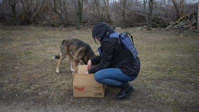 "Тварини — це святе": як волонтерка Олена Литовченко займається евакуацією тварин з Великої Писарівки на Сумщині