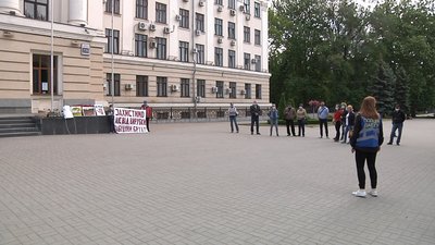 В Запоріжжі протестують проти вирубки лісу