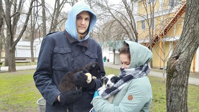 Виставка-прилаштування. У Миколаєві майже два десятки цуценят знайшли нових господарів