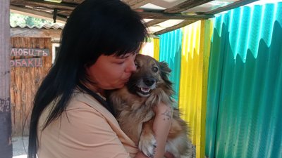 Притулок для собак у Дніпрі Притулок для собак у Дніпрі
