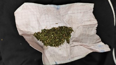 Канабіс та пів сотні набоїв: вінничанина підозрюють в зберіганні наркотиків та боєприпасів Канабіс та пів сотні набоїв: вінничанина підозрюють в зберіганні наркотиків та боєприпасів