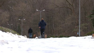 Ветеран бігає в парку Ветеран бігає в парку