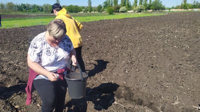 Бобринецькі "Сади перемоги". У місті посадили два гектрари городини та 33 дерева Бобринецькі "Сади перемоги". У місті посадили два гектрари городини та 33 дерева