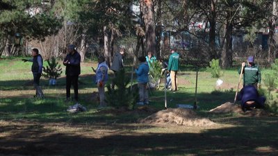 У Миколаєві містяни та працівники ДЖКГ висадили близько тисячі дерев У Миколаєві містяни та працівники ДЖКГ висадили близько тисячі дерев
