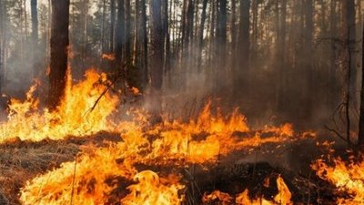 Російські військові не дозволяють гасити пожежі в лісах Херсонщини