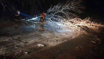 Через повалені дерева в заторі на Житомирщині опинився шкільний автобус