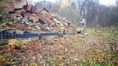 Пошукових собак привчають до специфічного запаху трупів, щоб вони могли розшукати загиблих. 20 листопада 2022 рік Пошукових собак привчають до специфічного запаху трупів, щоб вони могли розшукати загиблих. 20 листопада 2022 рік