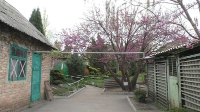 У Запорізькому ботанічному саду зробили прихисток для людей, тварин та рослин