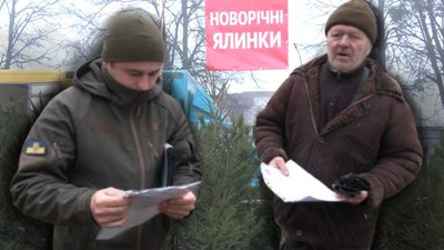 Перевірка ялинок.