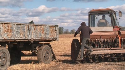 Розповіли про ситуацію з озимими на Черкащині Розповіли про ситуацію з озимими на Черкащині