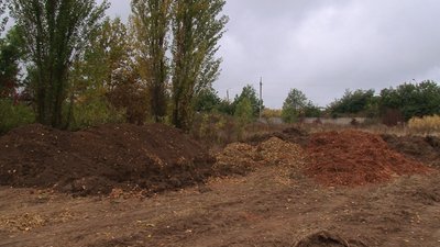 У Полтаві збирають листя, аби перетворити його у добриво для рослин