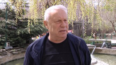 Поповнення в Одеському зоопарку: народилися п'ятеро вовченят і поні Поповнення в Одеському зоопарку: народилися п'ятеро вовченят і поні