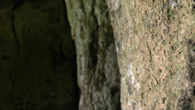 Нові туристичні маршрути: куди поїхати на вихідні в Івано-Франківській області Нові туристичні маршрути: куди поїхати на вихідні в Івано-Франківській області