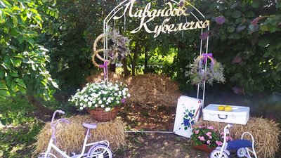 "Лавандове кубулечко" на 1,5 тисячі кущів створила родина з Хмельниччини "Лавандове кубулечко" на 1,5 тисячі кущів створила родина з Хмельниччини