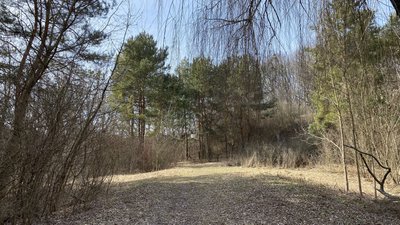 Що першочергово зроблять у Полтавському міському парку Що першочергово зроблять у Полтавському міському парку