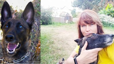 Собака на фронті: що це значить для людини, та що для тварини? Собака на фронті: що це значить для людини, та що для тварини?
