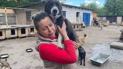 "Коли рятую чергову "дитину", я щаслива": зоозахисниця з Сумщини – про своїх підопічних з притулку "Коли рятую чергову "дитину", я щаслива": зоозахисниця з Сумщини – про своїх підопічних з притулку