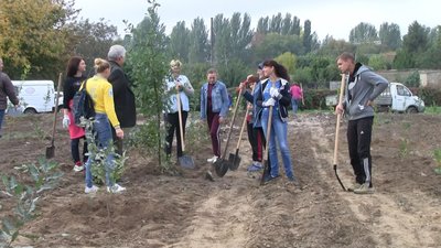 Поблизу маєтку Миклашевських у селі Біленькому на Запоріжжі висадили 400 дубків