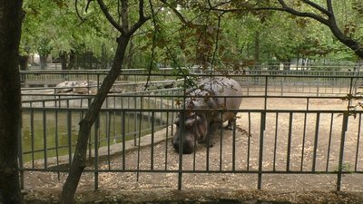 Миколаївський зоопарк готовий приймати відвідувачів Миколаївський зоопарк готовий приймати відвідувачів