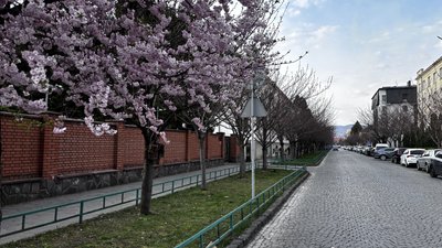 Погода на Закарпатті