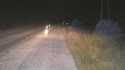На Житомирщині водій втік з місця смертельної ДТП, іде розшук