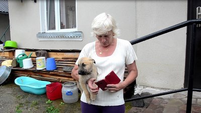 Живуть у школі, ночують на горищі. Як на Тернопільщині долають наслідки "великої води"