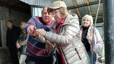 розмноженню плодових дерев, кущів, черенкування