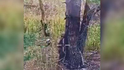 Дронарі 14-ої ОМБр нищать російську техінку та особовий склад
