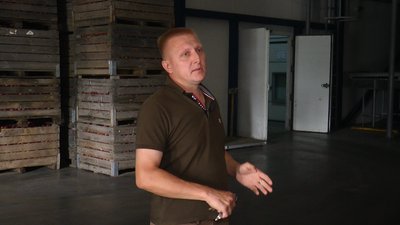 Як боротися зі шкідниками та захворюваннями рослин та дерев: досвід агропідприємства на Франківщині Як боротися зі шкідниками та захворюваннями рослин та дерев: досвід агропідприємства на Франківщині