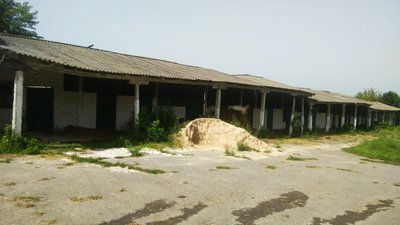 Приватизація на Рівненщині: на продаж виставили іподром Приватизація на Рівненщині: на продаж виставили іподром